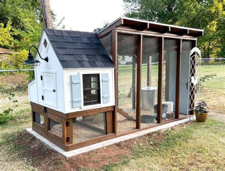 Do chicken coops need sun or shade?