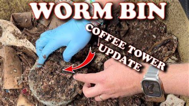 Do earthworms like coffee grounds?