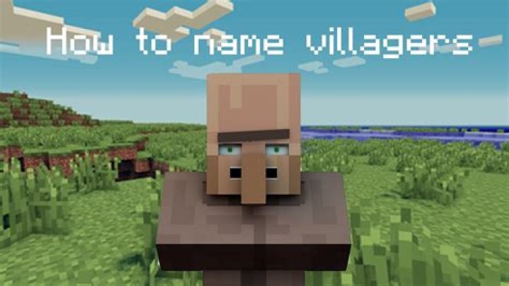 Do I need to name tag villagers?