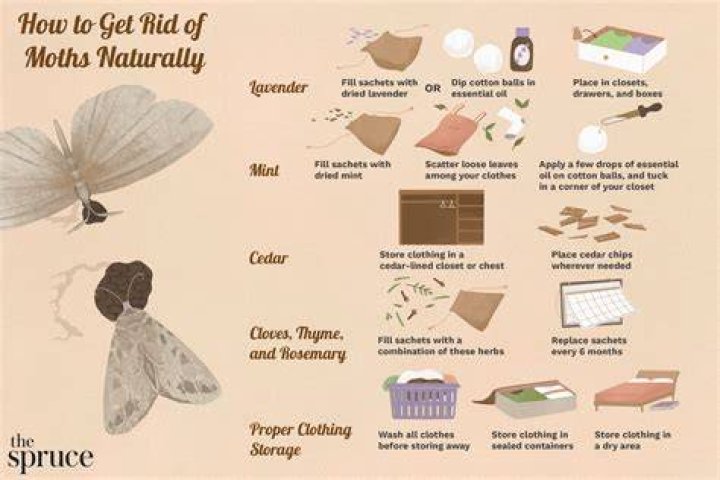 Do moth balls keep dogs away?