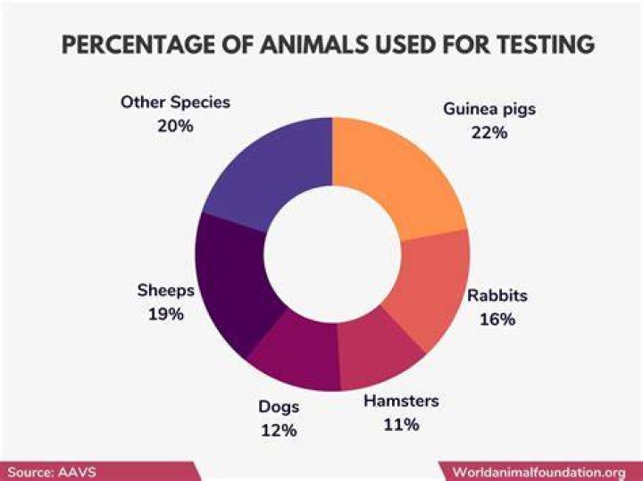 Do Rimmel test on animals?
