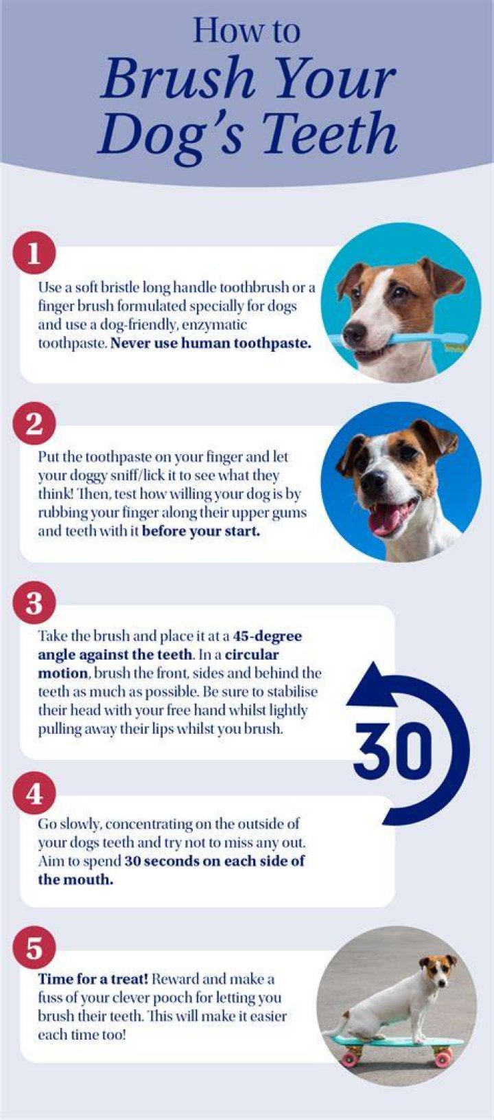 Do you brush a dog up or down?
