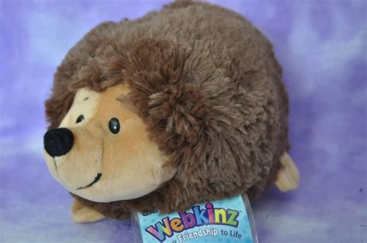 Do you have to buy a Webkinz Pet?