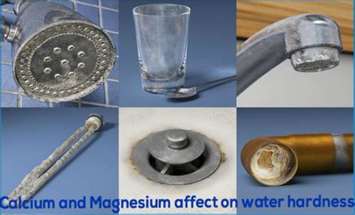 Do you need calcium and magnesium in water?