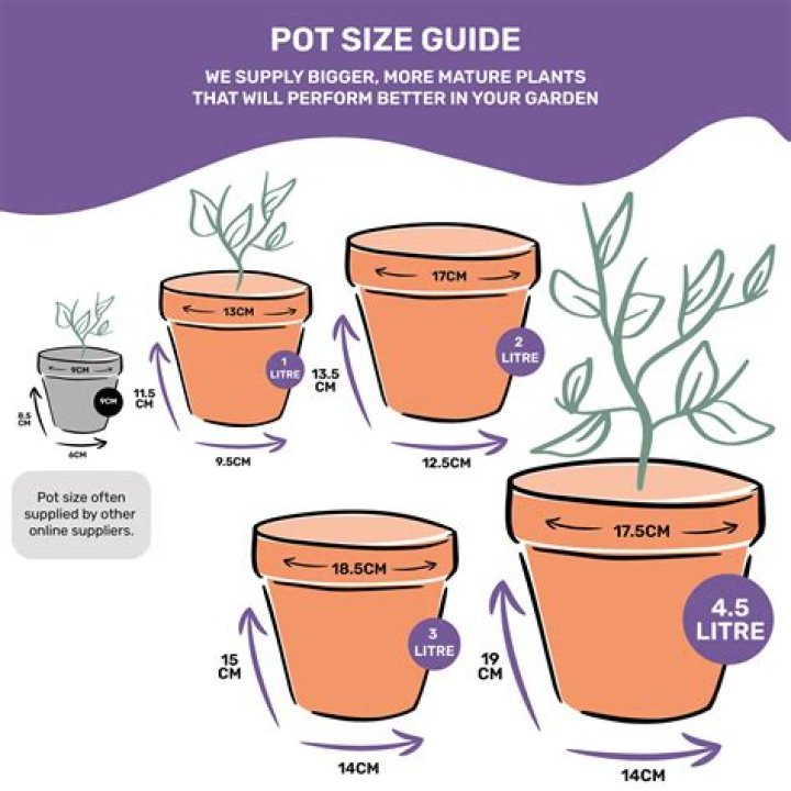 Do you split the pot with a pair?