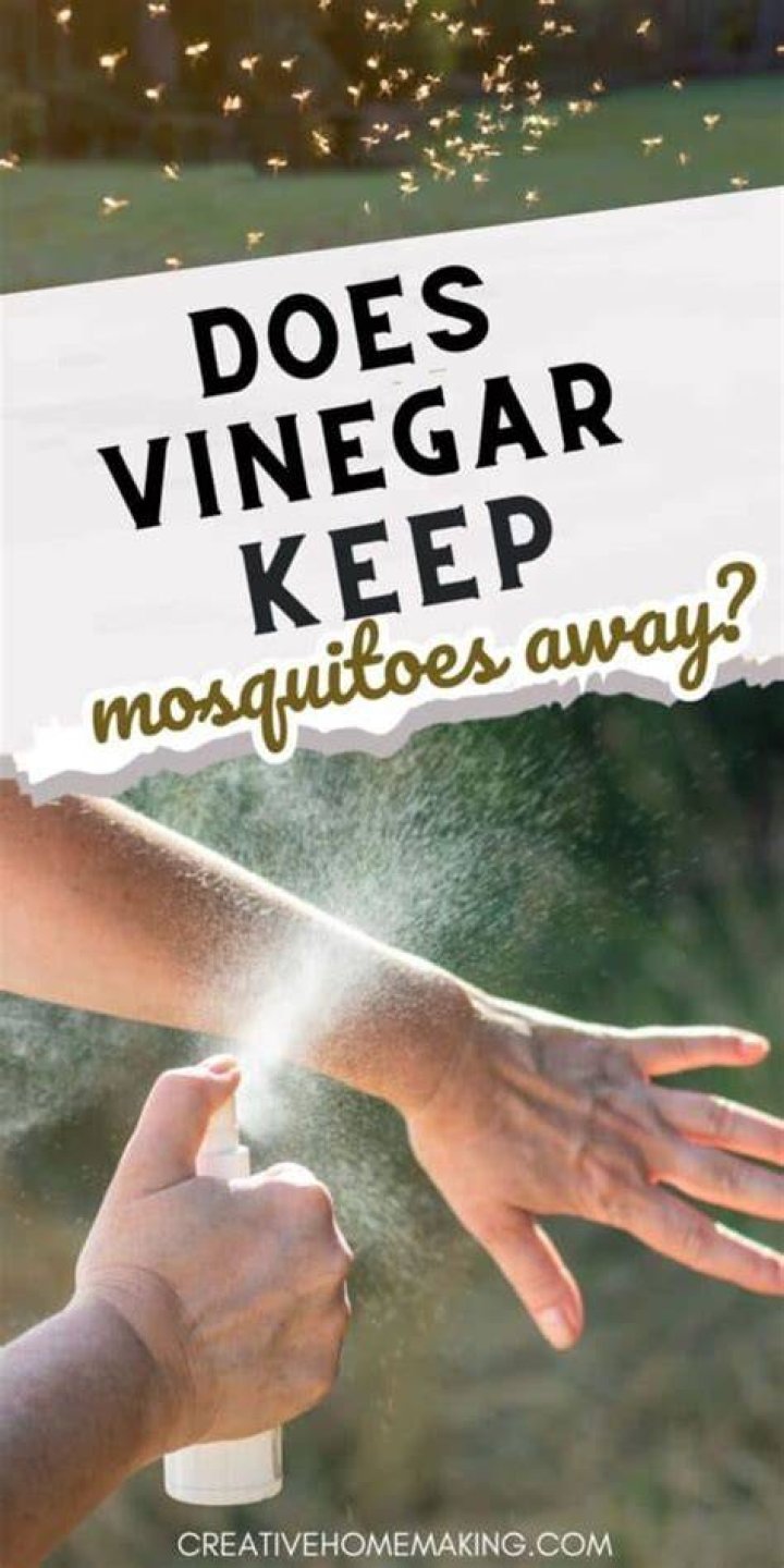Does a bowl of vinegar keep mosquitoes away?