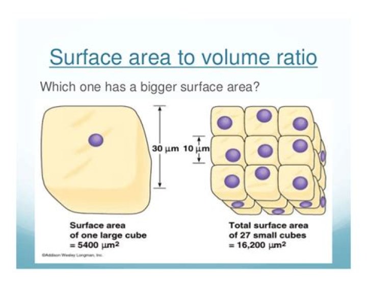 Does a sphere have a higher surface area to volume ratio than a cube?