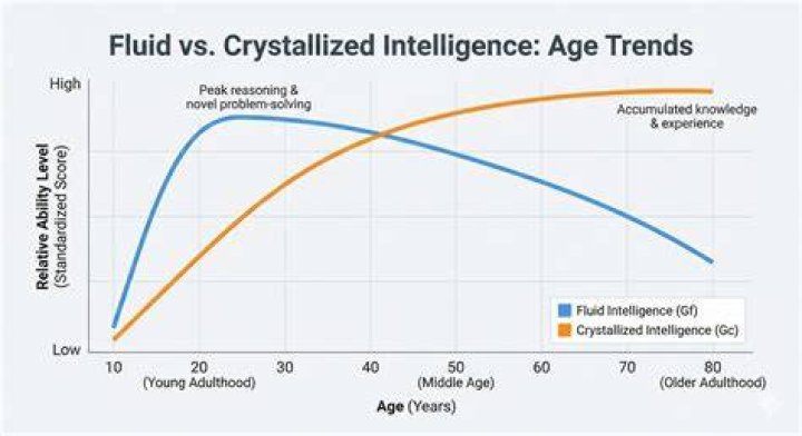 Does driving lower your IQ?