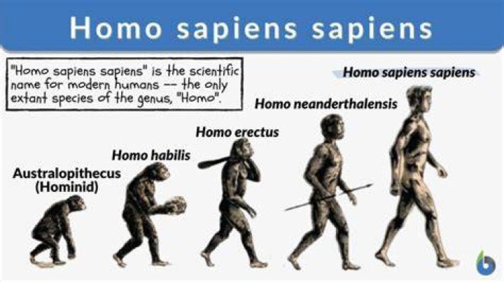Does Homosapien mean?