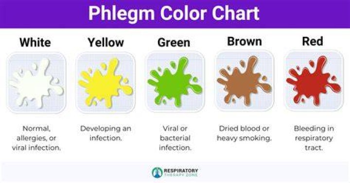 Does honey cause phlegm?