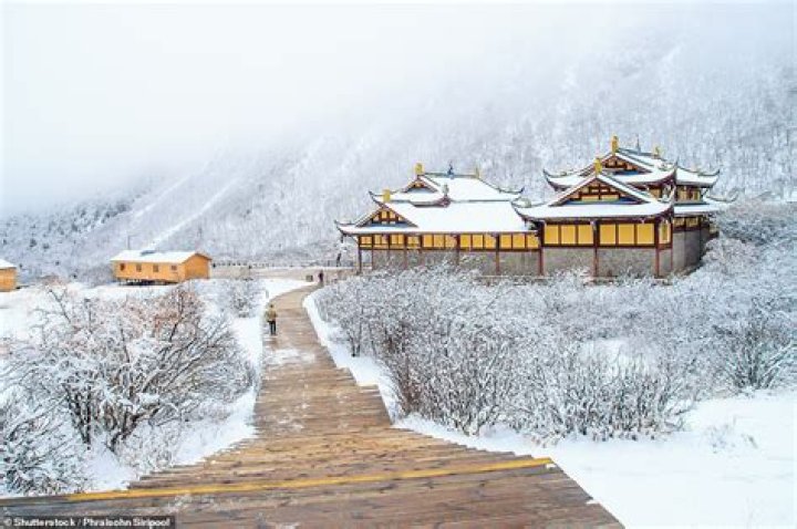 Does in snow in China?