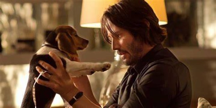 Does John Wick get a new dog?