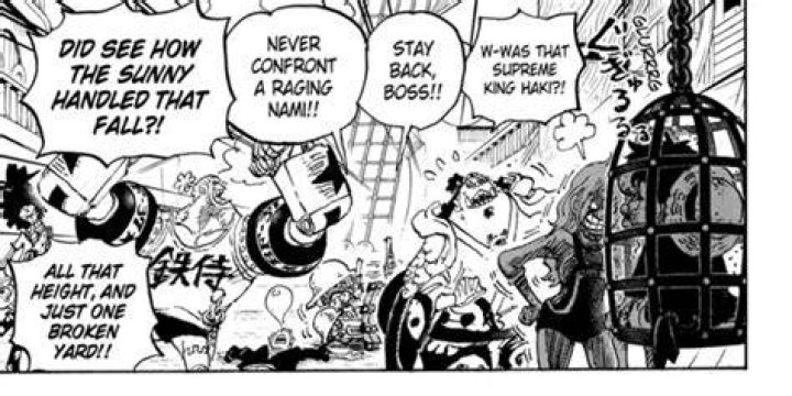 Does Nami have Haki?