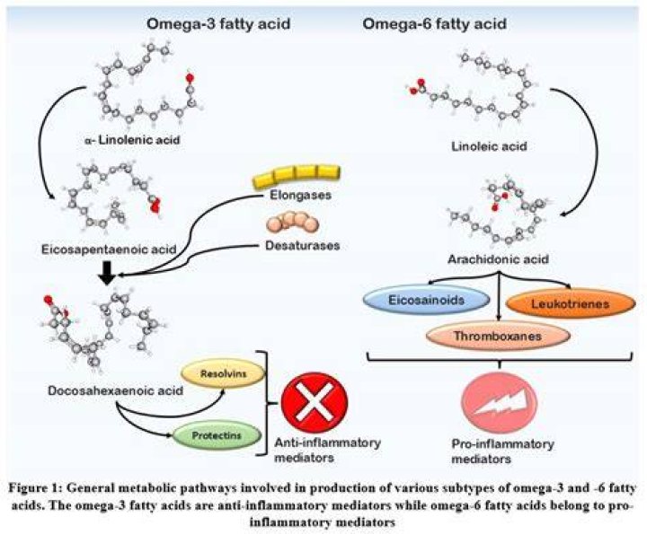 Does omega-3 reduce inflammation?