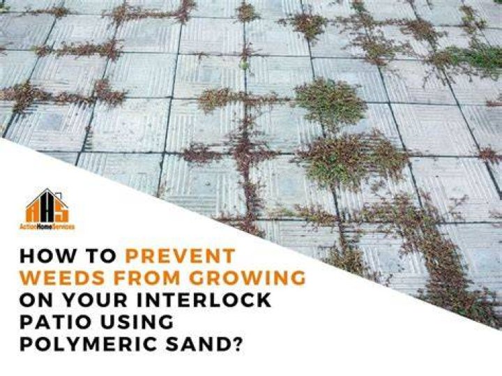 Does polymeric sand prevent weeds?