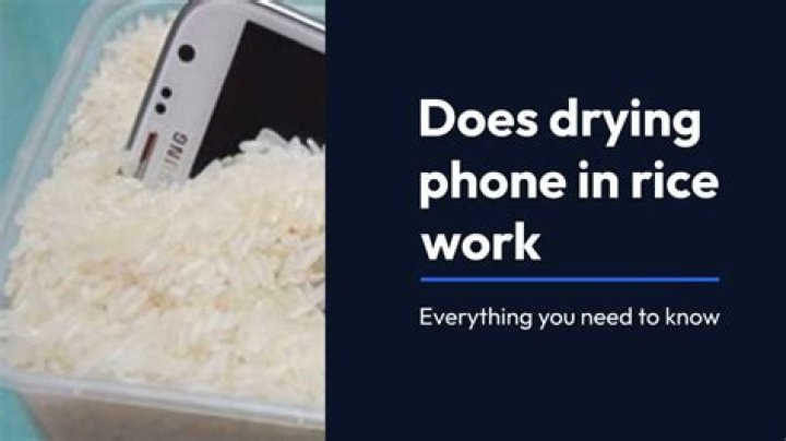 Does putting phone in rice work for iPhone?