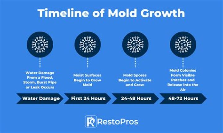Does salt grow mold faster?