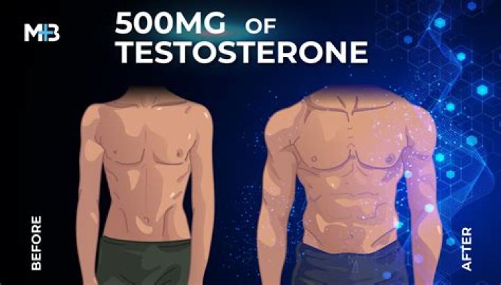 Does testosterone make you stronger?