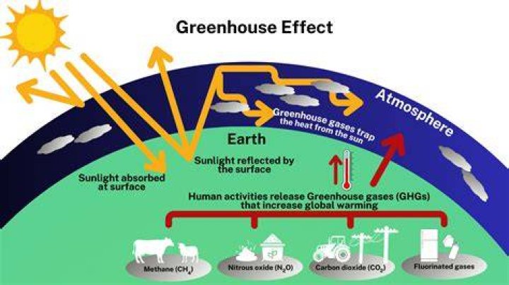 Does the shape of a greenhouse matter?