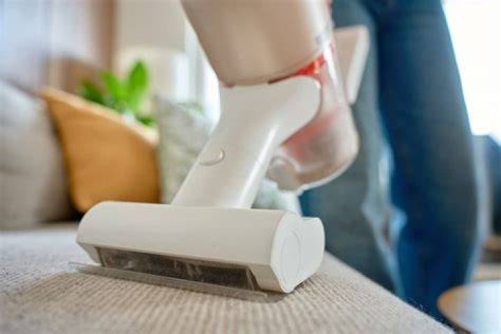 Does vacuuming get rid of bed bugs?