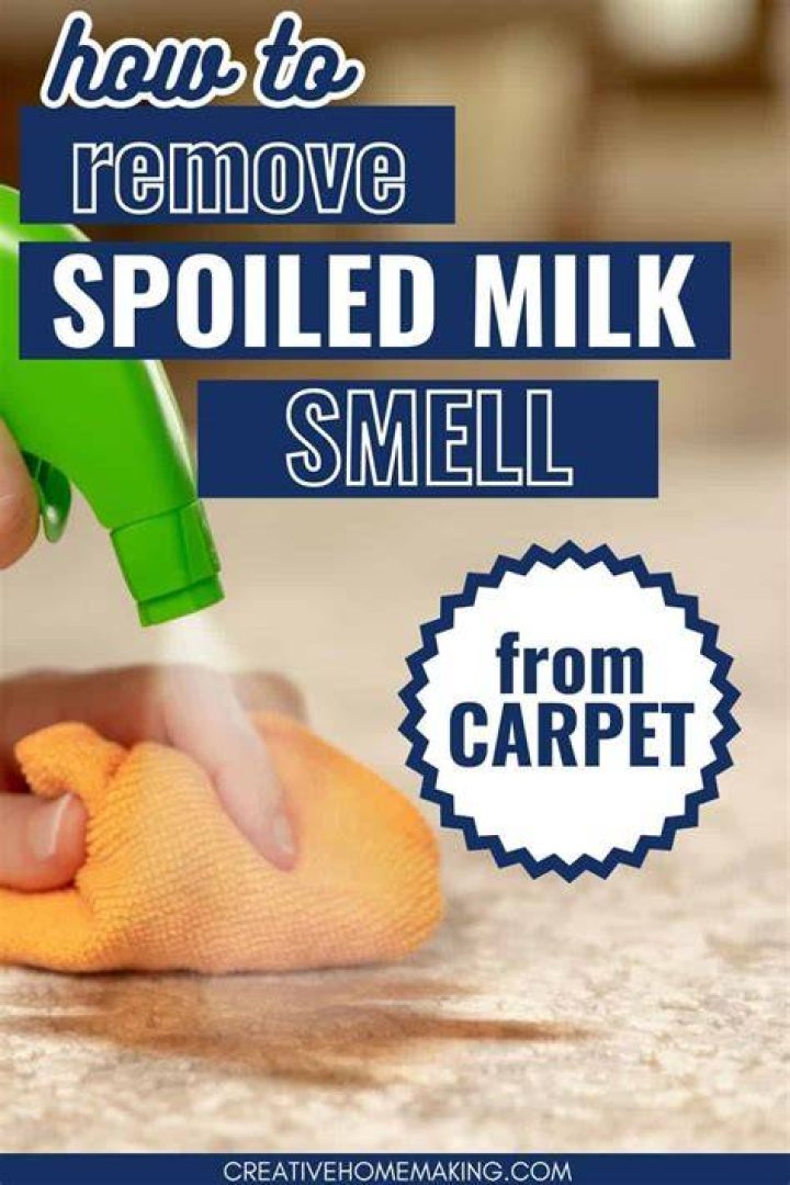 Does white vinegar take smell out of carpet?