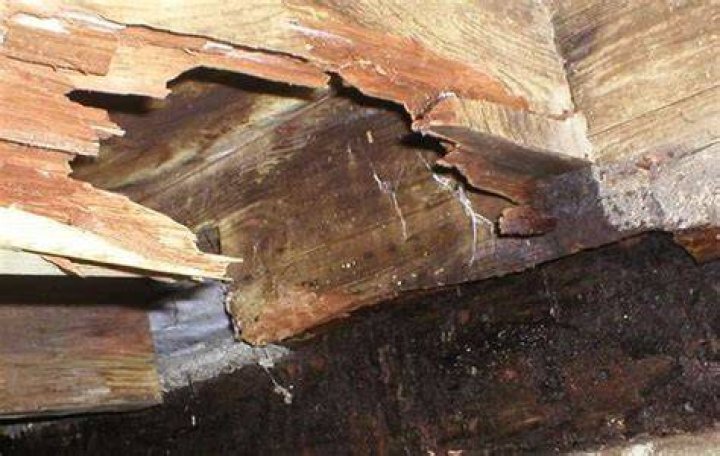 Does wood continue to rot after it is dry?