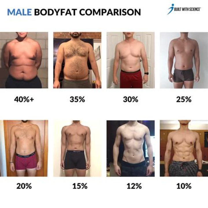 Does your body burn old fat or new fat first?