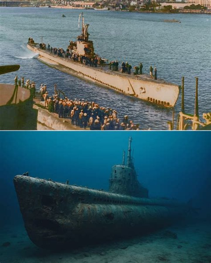 Has a submarine ever torpedoed another submarine?