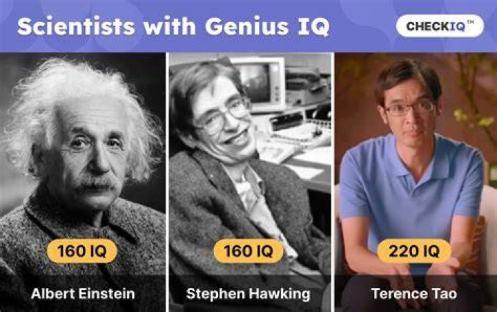 Has anyone ever had a 300 IQ?