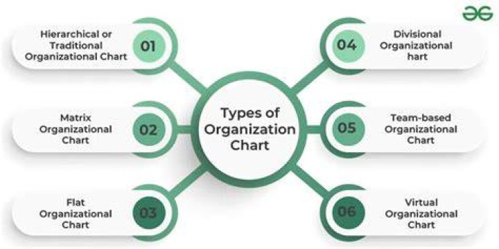 How are modern organization different from typical classical organizations in terms of practices of various principles of management?