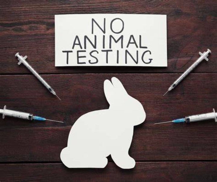 How can animal testing be stopped?