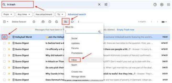 How can I recover my message?