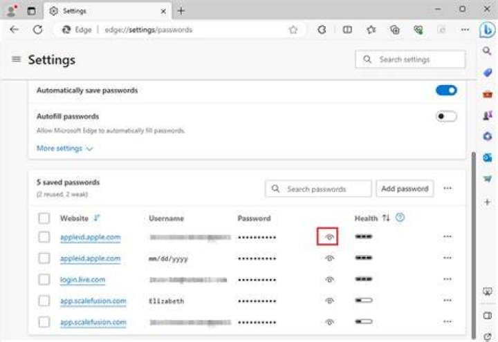 How can I see a hidden password?