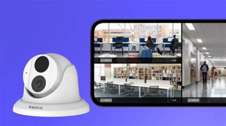 How can I see public security cameras?