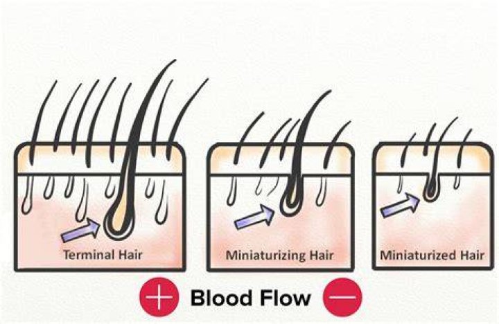 How can I stimulate hair growth on my scalp?