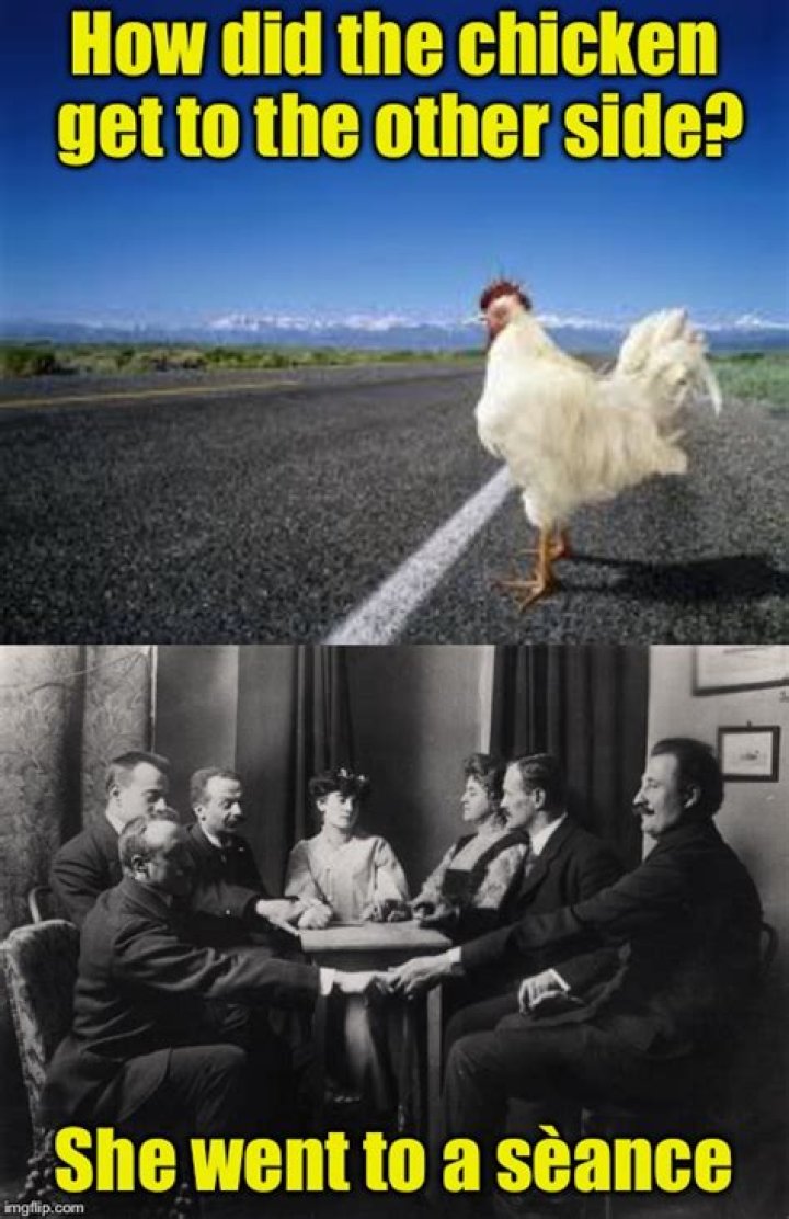 How did the chicken get to the other side?