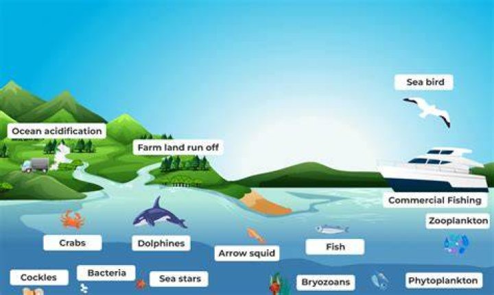 How do aquatic animals move?
