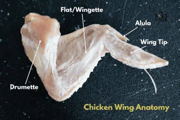 How do chicken wings get so big?