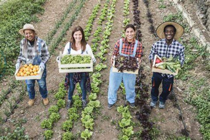 How do farmers make a living?