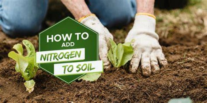 How do I add nitrogen to my lawn?