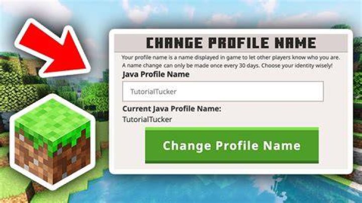 How do I change my username in Dragon Cave?