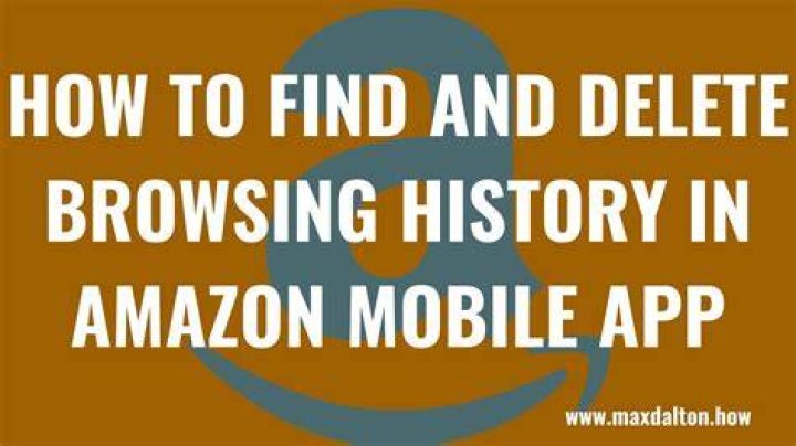 How do I check my employees browsing history?