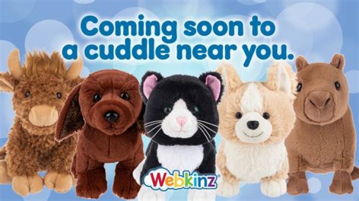 How do I find my Webkinz profile?