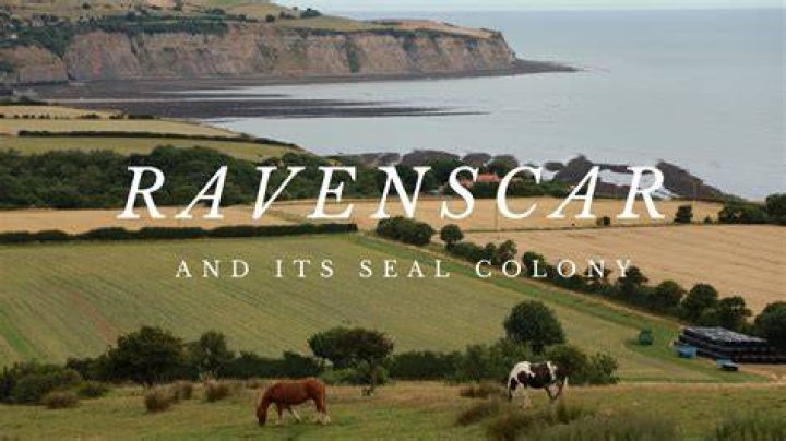 How do I get into ravenscar?