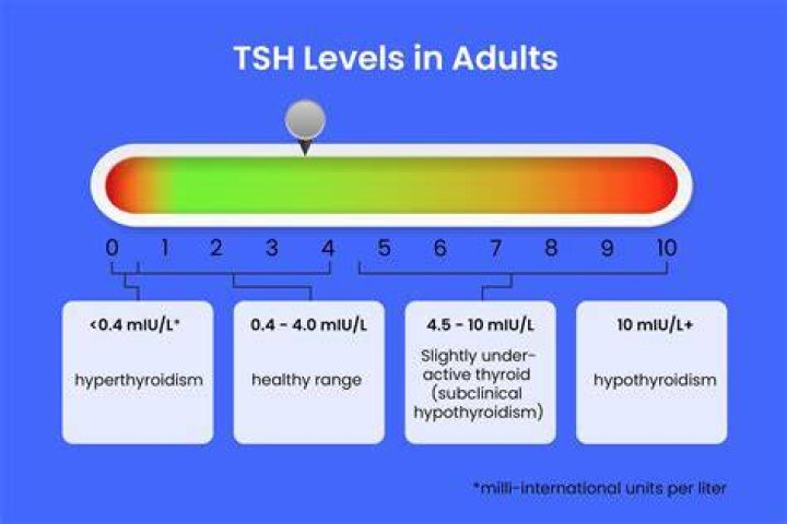How do I get my TSH back to normal?