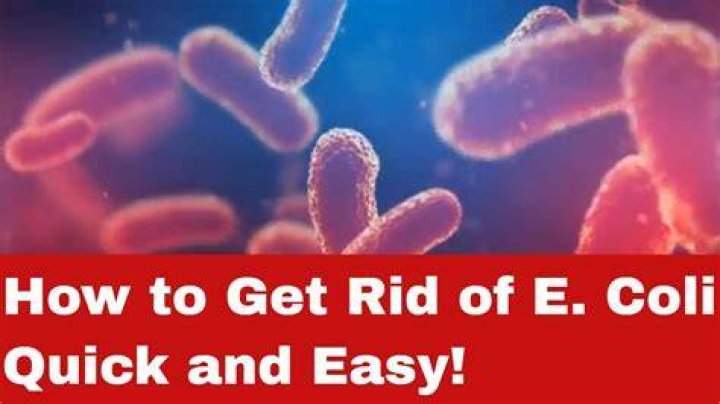 How do I get rid of bacteria in my toilet?