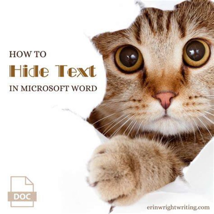 How do I hide text in a picture?