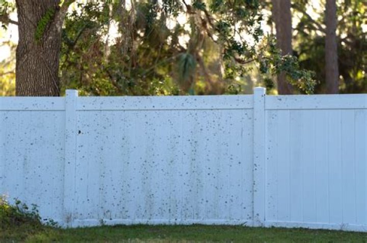 How do I keep my vinyl fence from turning green?