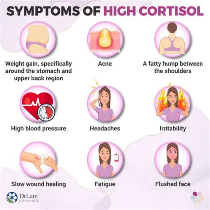 How do I know if my cortisol is too high?