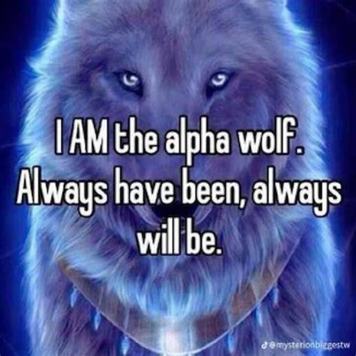 How do I show my puppy I am the Alpha?